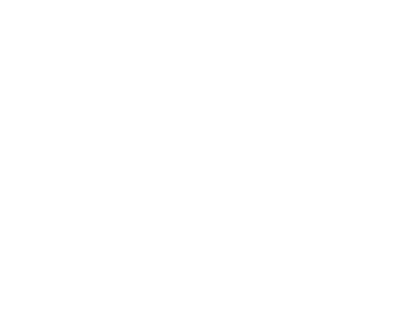Pinnacle Equine